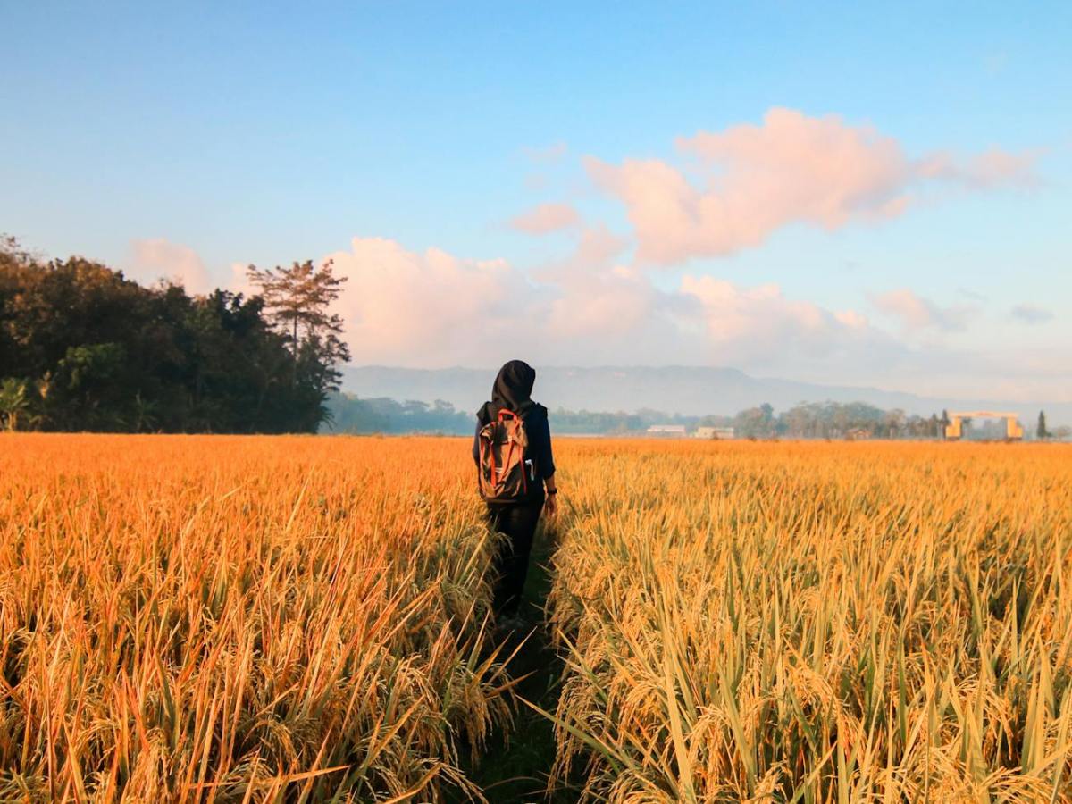 The Movement My Body Chose Without Me Knowing&nbsp;Why